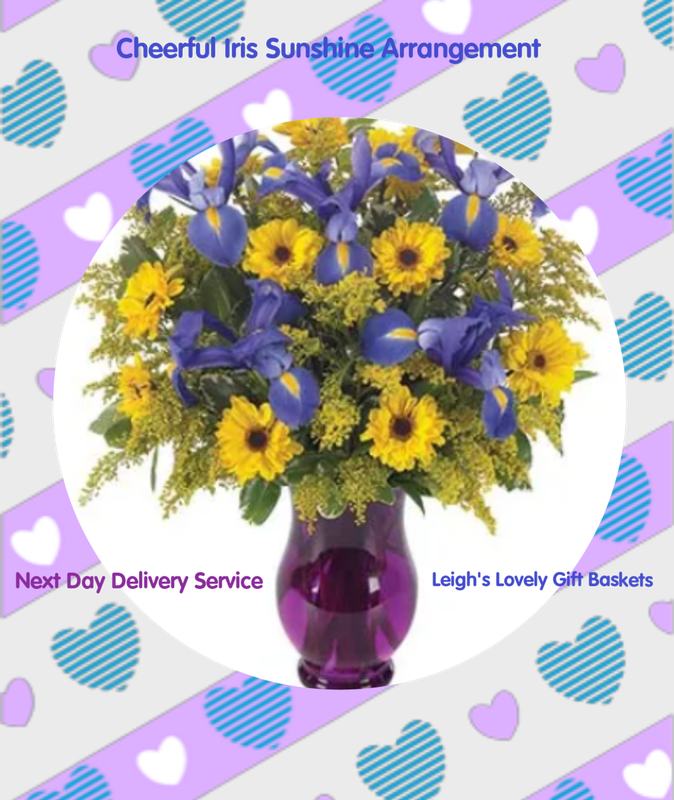 Cheerful Iris Sunshine Arrangement
Surprise someone special with this playful wildflower themed  bouquet of  daisy poms, irises, and solidago  in a purple passion vase,  Arrangement  Measures 18"H by 10"L.  Bouquet is arranged and shipped via UPS in a long flower box  with a clear glass vase and flower food packet. Follow the instructions in the box for long lasting flowers. Includes bouquet, message and a Clear Cylinder Vase. Flowers ship Overnight for Next Day Delivery.