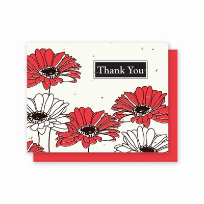 Red, White and Black Gerber Daisy Printed card  5 pack embedded with Wildflower Seeds. Photo link