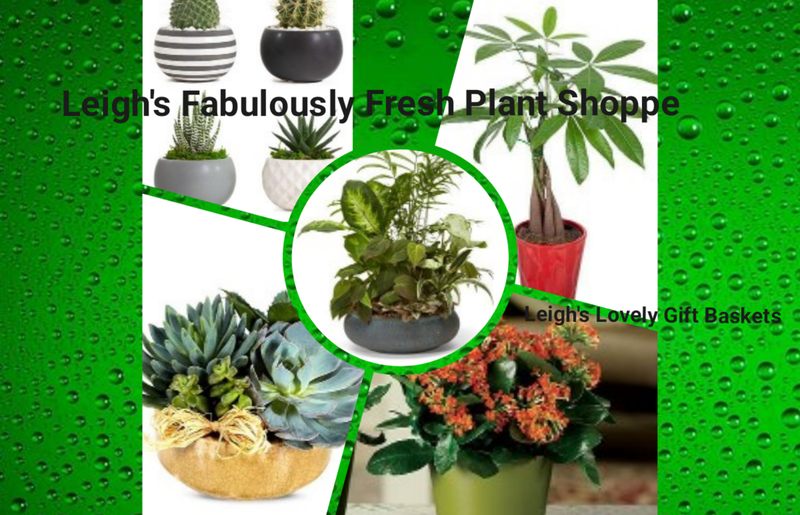 Leigh's Fabulously Fresh Plant Shoppe Page Collage Link