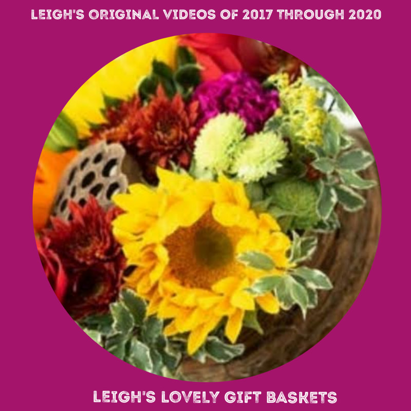 Photo link to Leigh's Original Videos of 2017-2020 page
