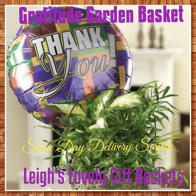 Gratitude Garden Basket with Same Day Delivery Service available.  Charming handled basket is filled with dieffenbachia,fern, ivy and palm and includes a Thank You Balloon for a great gratitude gift!  Arranged and delivered by a network florist. Same Day Delivery Service available Monday- Friday. Order before 10 am EST. 