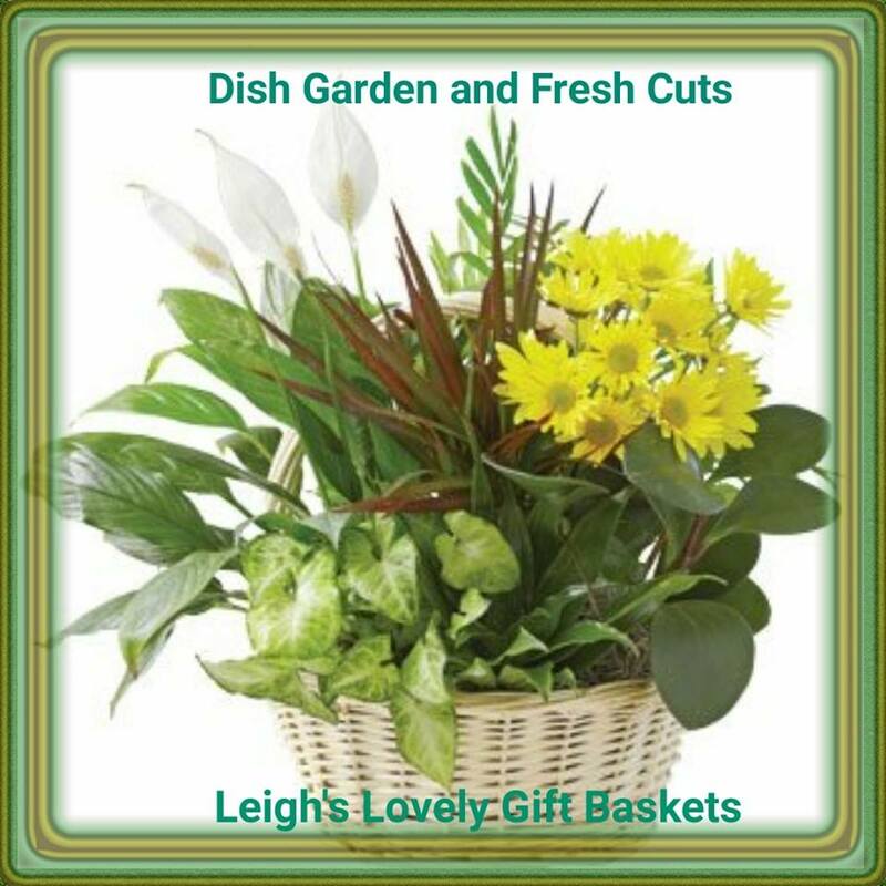Dish Garden and Fresh Cuts offers a fragrant bouquet and long living plants arranged in a keepsake woven basket. Same Day Delivery Service available Monday- Friday. Order before 10 am EST. 
 