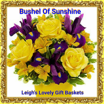 Bushel of Sunshine Bouquet with Same Day Hand Delivery Service delivers sunny thoughts with Yellow Roses,
Yellow Alstroemeria,
 Iris and
 Seasonal Greens in a sunny yellow pot. 

